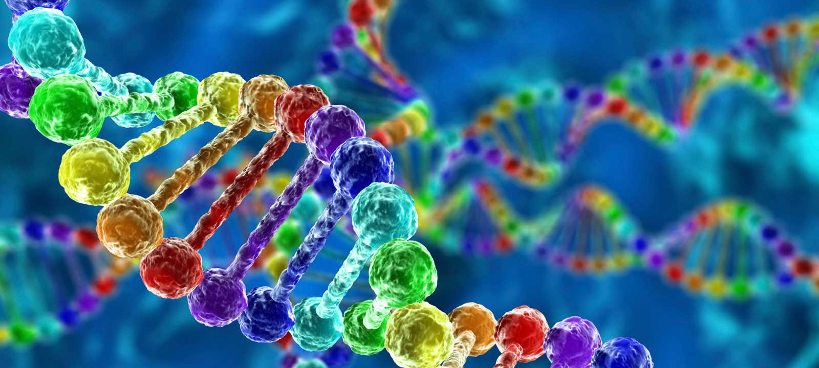 ژن سازه آمن بیوتکنولوژی ایران ژنومیکس سنتز ژنتیکی